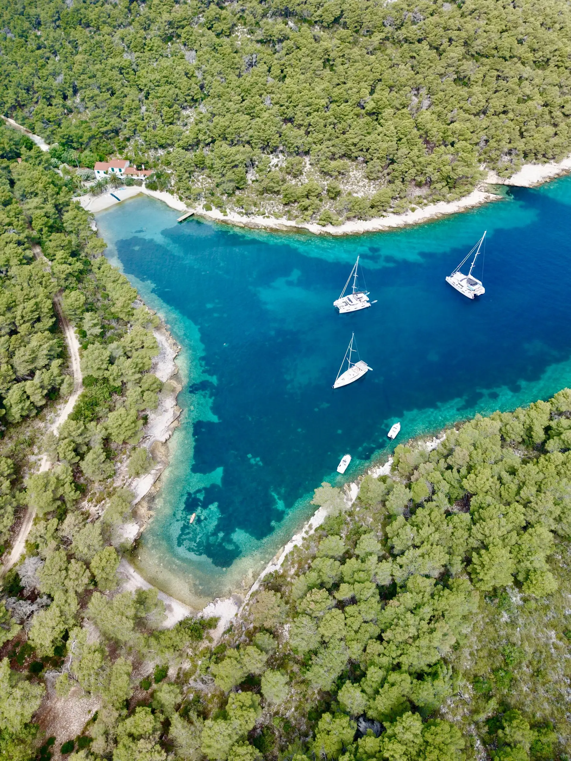 Aerial view of a narrow, blue-green cove surrounded by dense green trees, featuring a Lagoon 46 catamaran among three sailboats and two smaller boats anchored in the clear water near a forested shoreline.